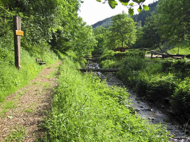 Das Sauerland ist eine sehr schöne Umgebung mit guten anbindungen zum Wandern und Fahrradfahren. Das Sauerland bietet auch viele authentische Dörfer und Städte für einen schönen Tagesausflug.